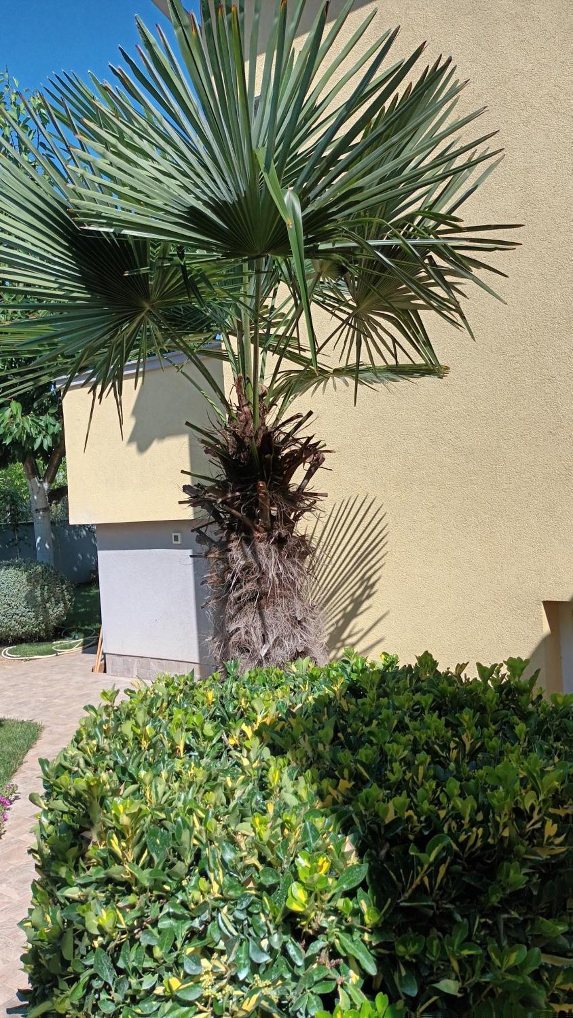 Apartments Monte Magno PUY Exterior foto